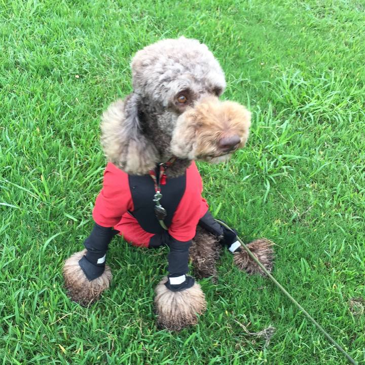 9ec4f4b5 1723 4e2a a4ce 67fab24ae4a4