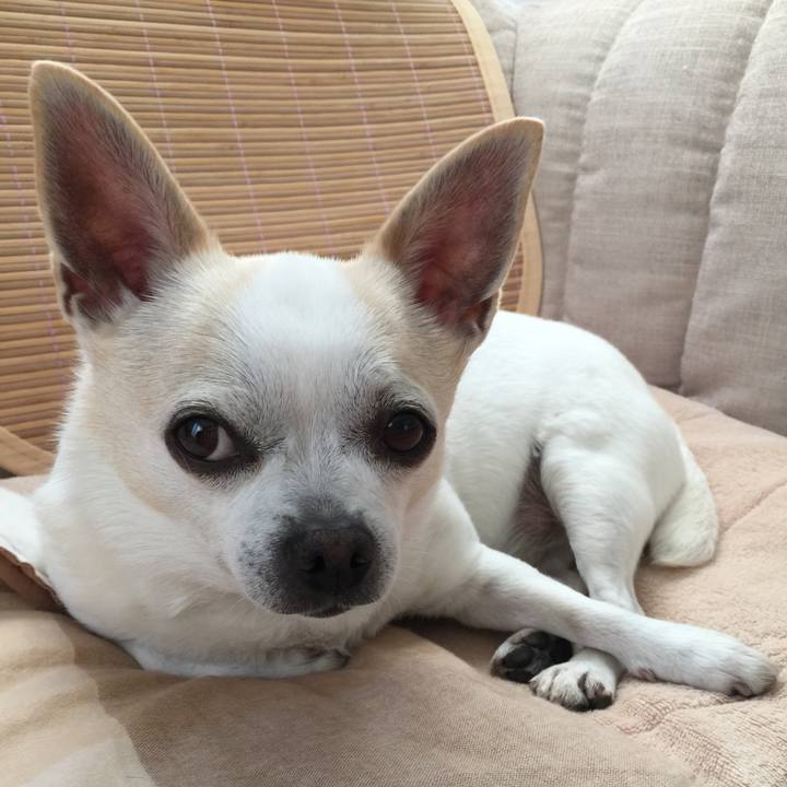 9ec5e2a6 039c 46f0 993b 40f2064bf589