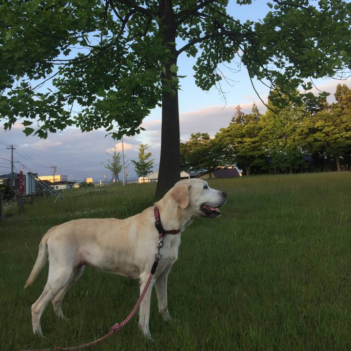 9ec60352 9323 4467 b1d0 8e97cbe576f5