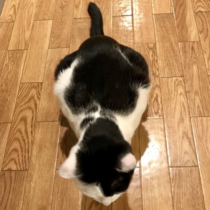 9ec65d3c b247 42eb 9d1e 226373008b34