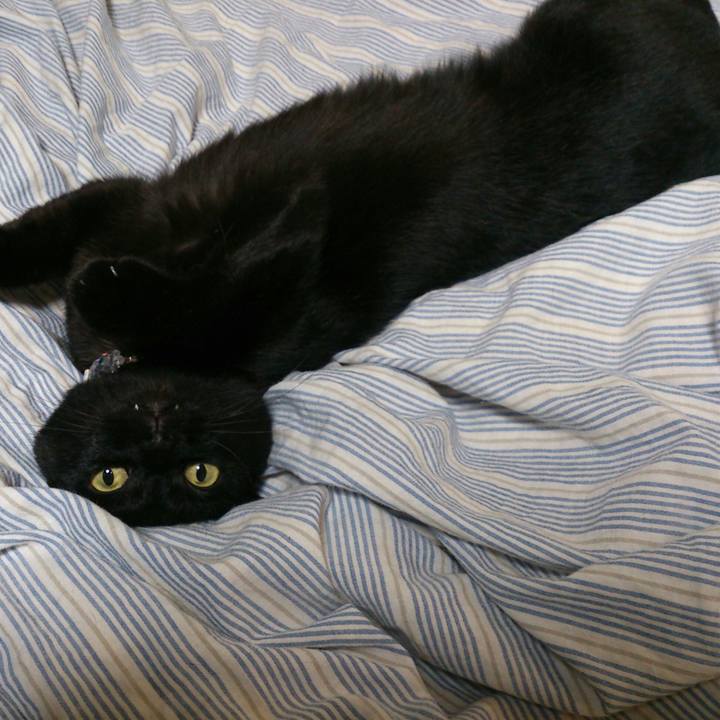 9ec6cb5b e52a 4a95 b51a 045a058be0a5