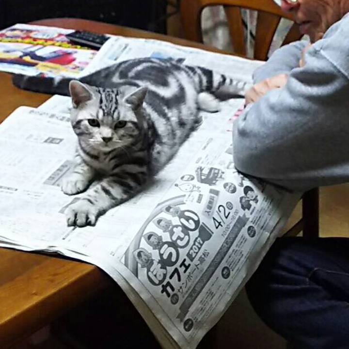 9ec6d6d9 083c 4a88 936c 55849a97c324