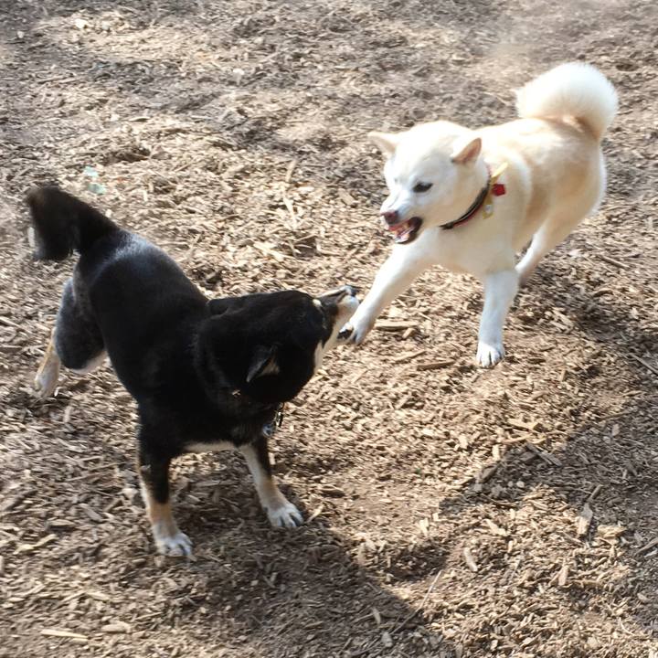 9ec7810c 557d 4248 bb85 97ec5cf6efa9