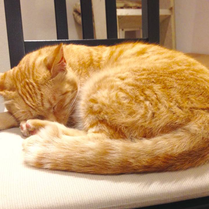 9ec81c52 43c7 437c a991 a3520c0088e1