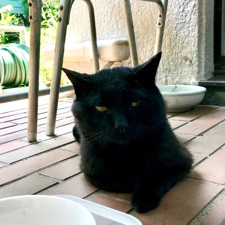 9ec85b62 bc06 40f8 b613 cce1f935c588