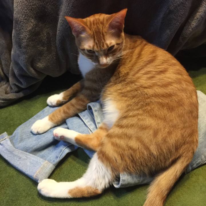 9ec8690f 00e9 49fa 9c65 76ef173cfed7