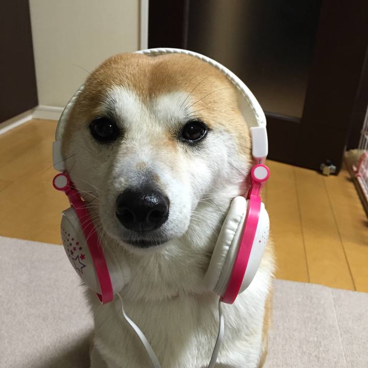 9ec8a072 acca 423b 925c 79c7280d27d0