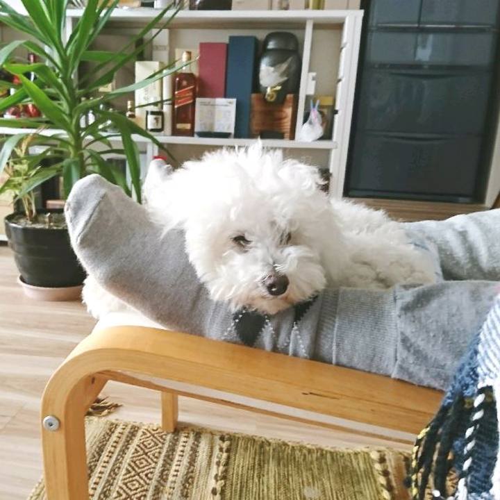 9ec90cca f6f9 47ca b588 eb4edc087a07