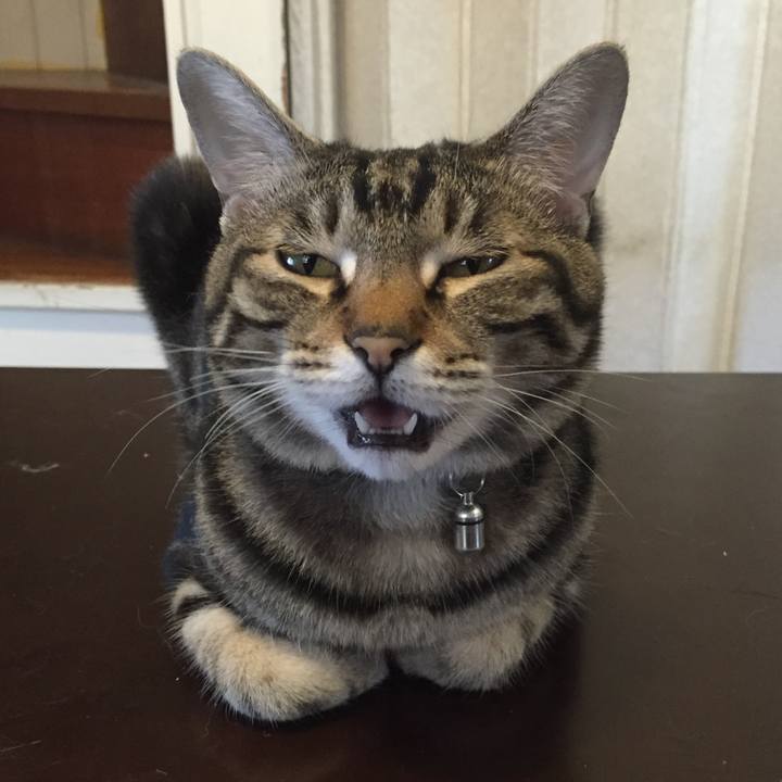 9ec91032 cf73 4ce3 81a5 1af42d417816