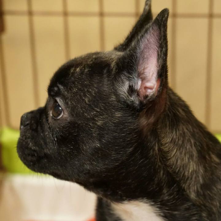 9ec9be63 2afa 4bbb 887e edba746bed82