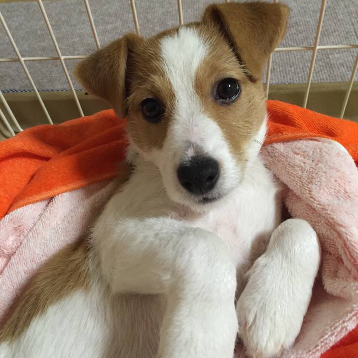 9ec9d435 f92f 46f1 9819 f888cf2b0be7