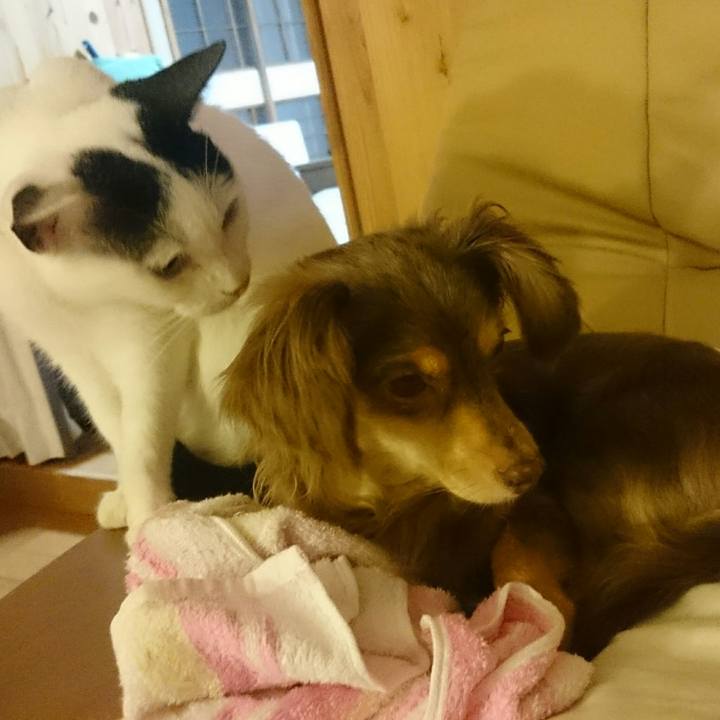 9eca1bfe 6266 41c3 9ce2 01a193388734