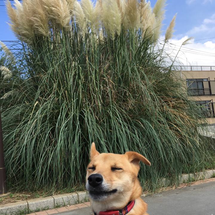 9eca34d3 e3b5 492d 95e2 899fbdc4c7ba