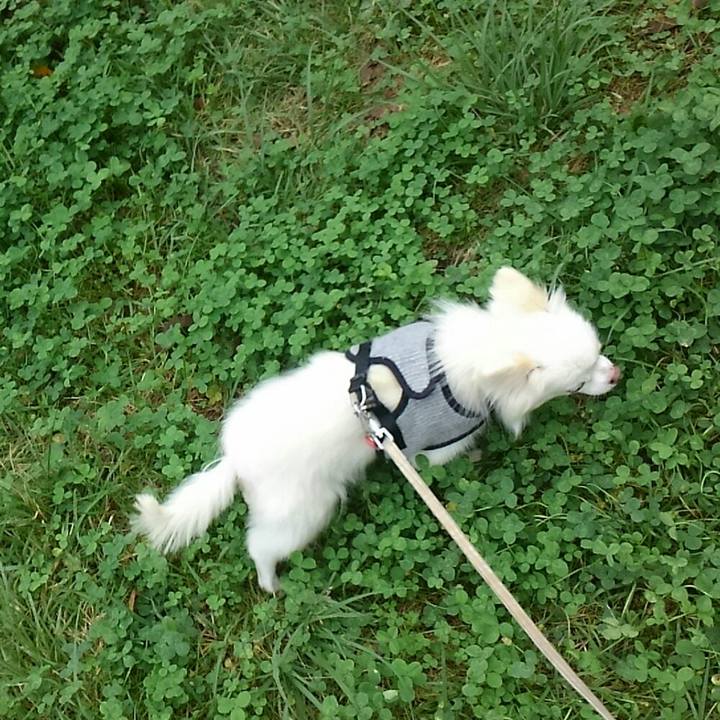 9ecb19c2 1672 49e8 85f1 556f5e1d9d27