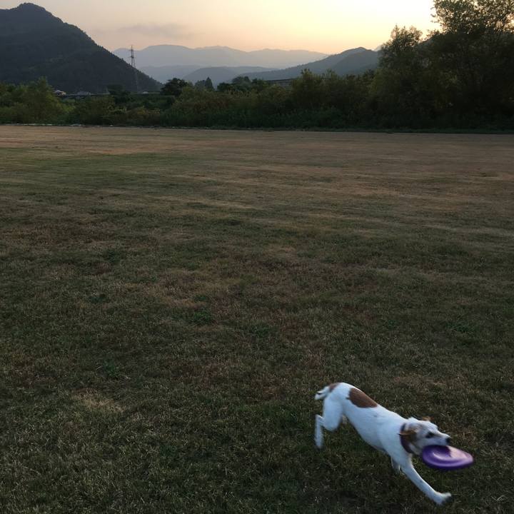 9ecb5dde 34c2 41ef b36b d9ce2a32ade3