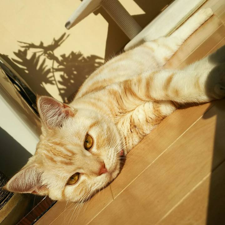 9ecb7c2a 10b7 4552 b560 ce6a18a3c40a