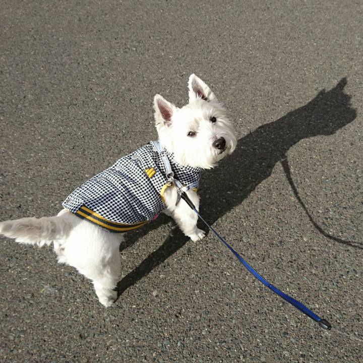 9ecb817c a8a9 4736 b27f 4ab195803205