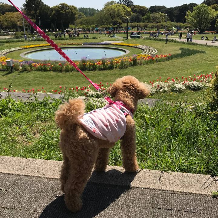 9ecbc980 ac45 4902 a6cb 7c04b3525ae6