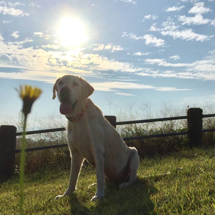 9ecc13ac 9228 4c69 a5ff cf40b172d5f7