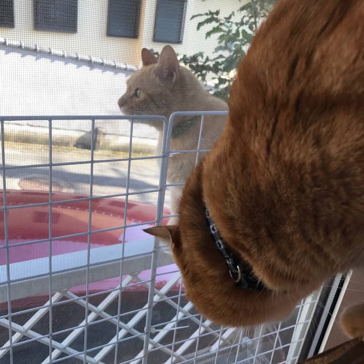 9ecc191a 87ff 46f7 8c1b cb5b87eb1e5a