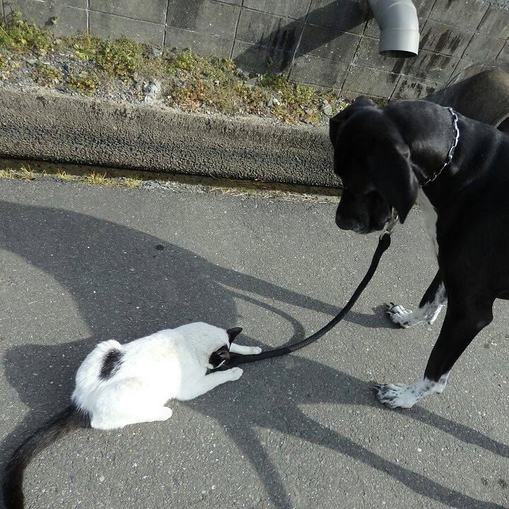 9eccb5a3 936f 432f adc1 535ce9c56126