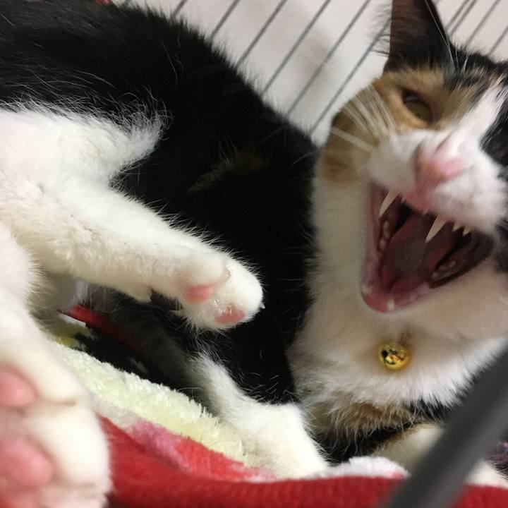 9ecd52d9 2946 4148 bc61 d5d12ec72ab9