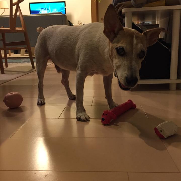 9ecdc2c8 ae6f 44e1 a034 59daf2fa369d