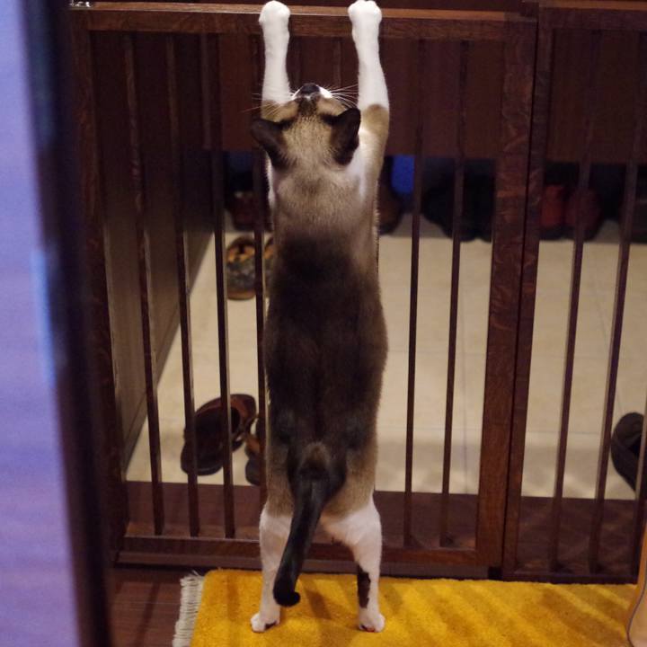 9ecdfd40 9faa 4ba0 a438 6d3aeb7a6cb4