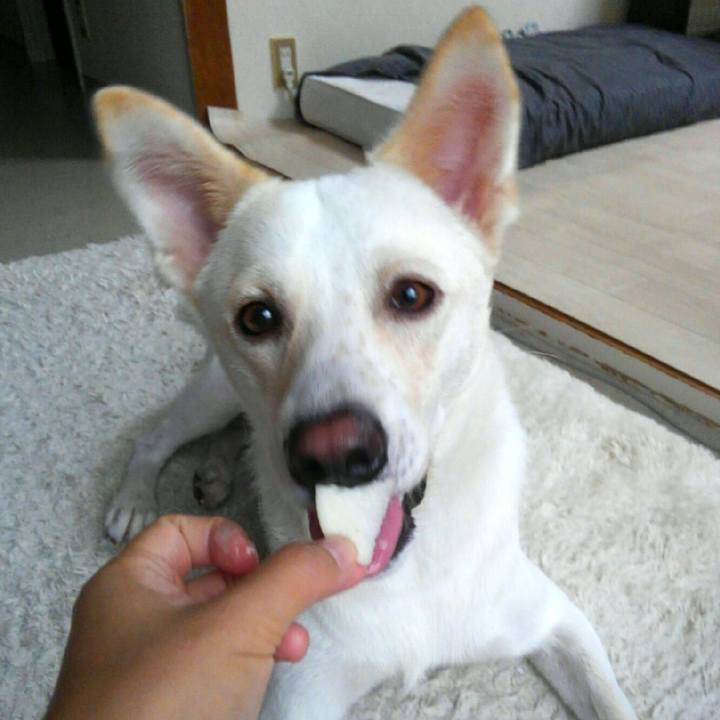 9ece3d2a 51b3 4f5e 8caf 8a07120cc933