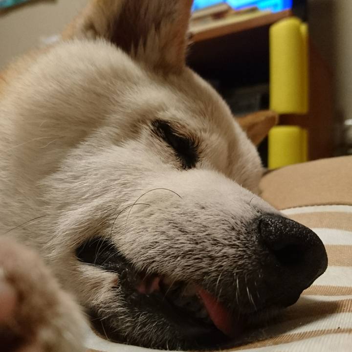 9ece4d72 1821 4fd0 8d87 5fed7ba5b294