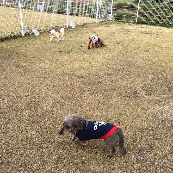 9ece8f87 fd40 412f 827b 54541c7d0c6b