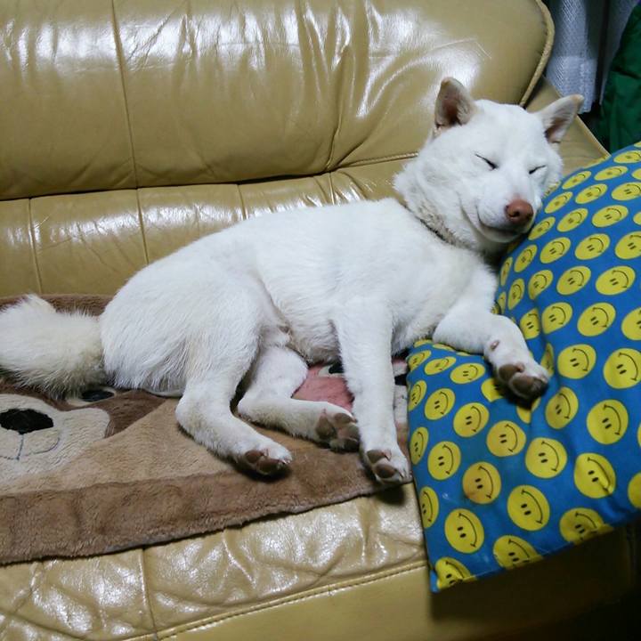 9ece9f09 b94b 4ea3 accb 3d52c654e506