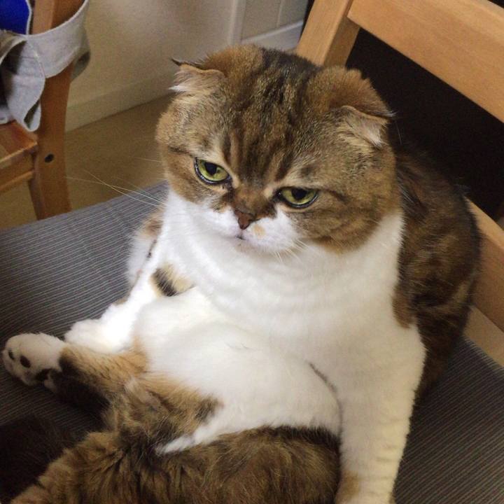 9ecf625c d4c3 4cea 9b1f 71e969f6180f