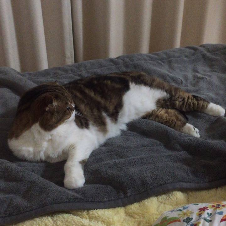 9ed05243 86bd 4729 951a 1de544972e22