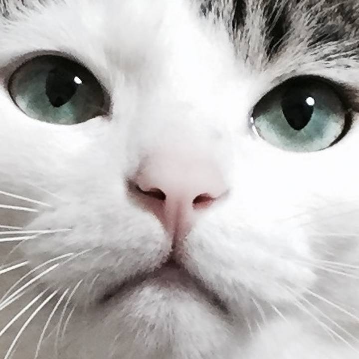 9ed0674a 71ff 470d 8ffe 3c4795d1d902