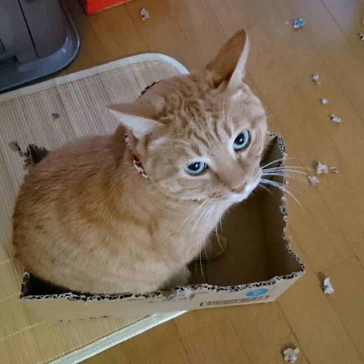 9ed0f175 af09 4887 82a8 8d5056bf90b9