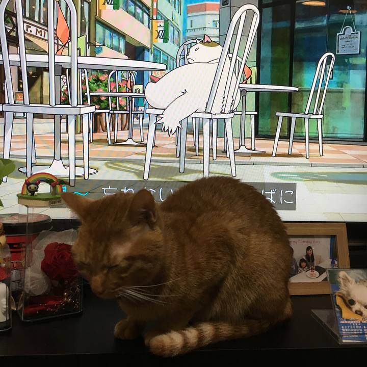 9ed10be5 2655 44cd a2fe 30195d982433