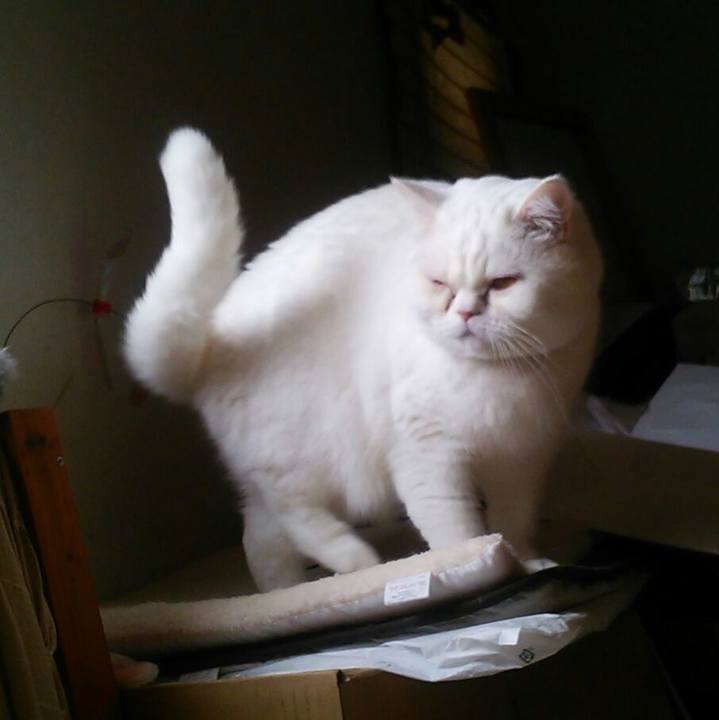 9ed157b0 1020 4e5c 9e7a 5cd1a518a477