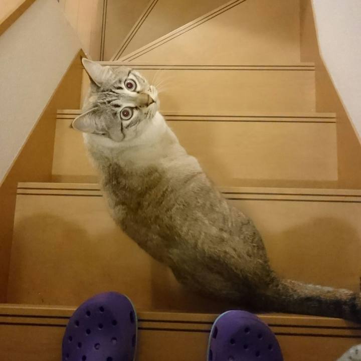 9ed29561 5a9d 4f6b 9448 055d2c6c7284