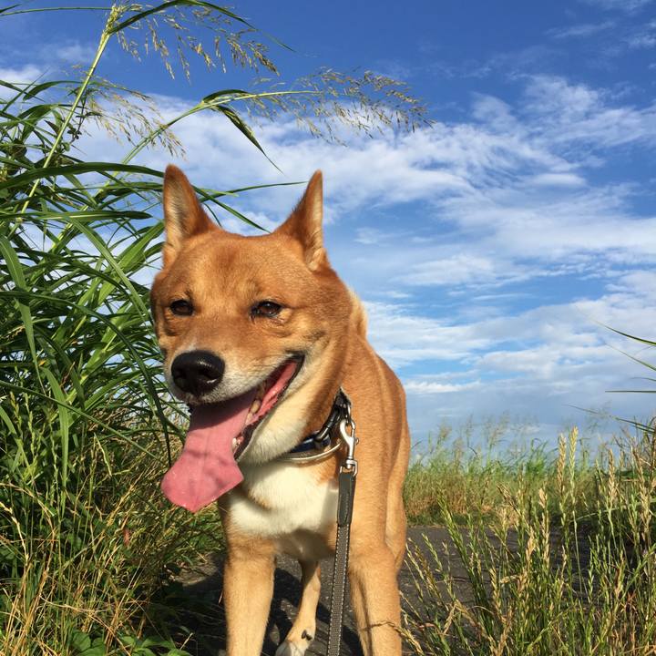 9ed2c5d8 7edf 4bf8 bd9f 0fb9fa1a62ba