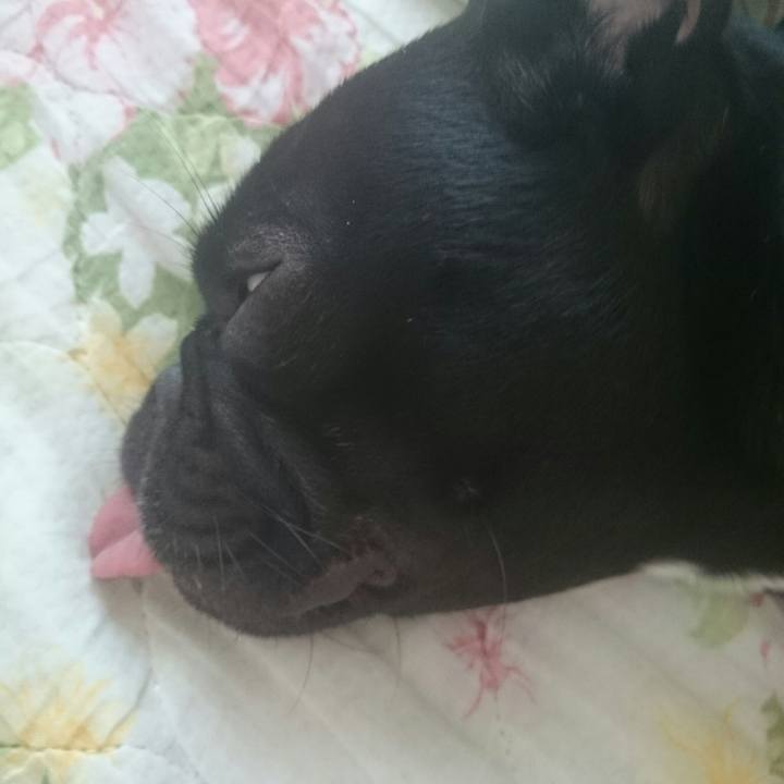 9ed323d0 be12 45e4 9d34 af1e08476383