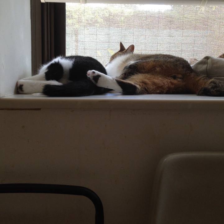 9ed372d1 5cac 4bb0 afc7 d8a273cccc4a