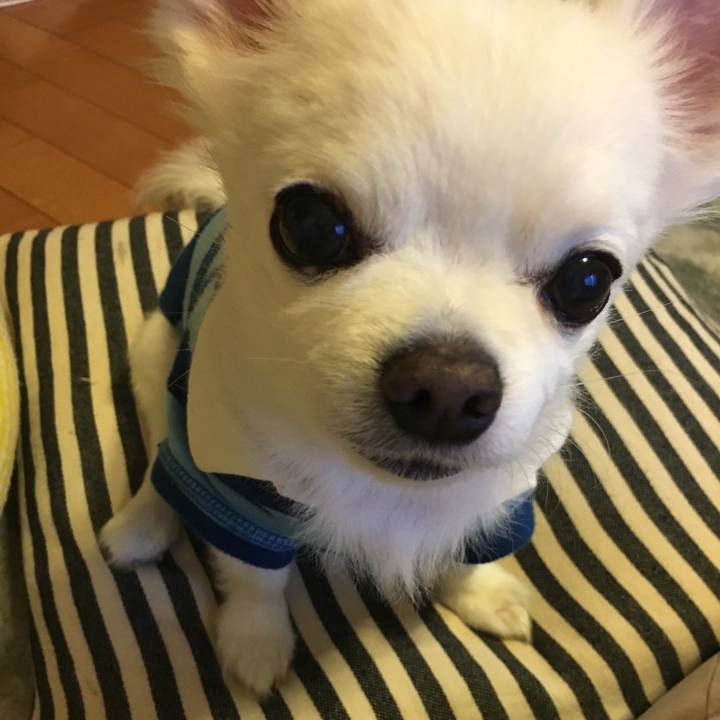 9ed3d7b8 2458 4765 a866 7ec767169fba