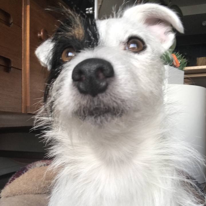 9ed415dd 866b 46eb a3c9 a2849343b19b