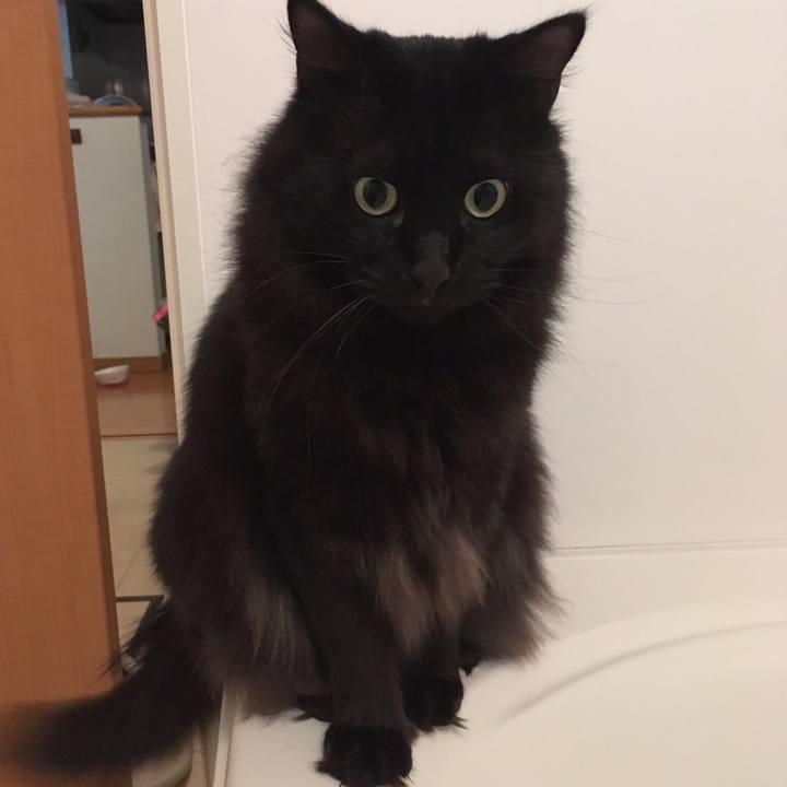 9ed4209c 1194 489b 86ba e501bfe15f36