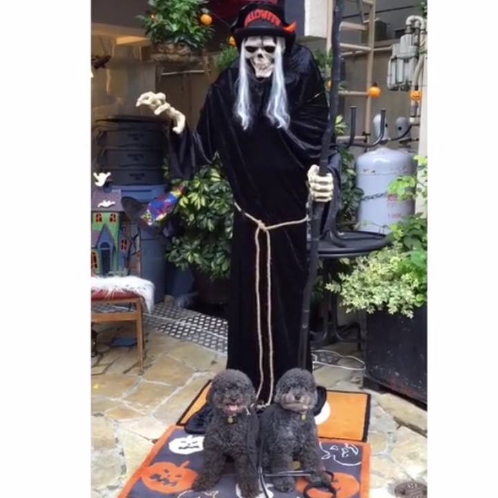 9ed4464b b619 44ae ba48 3b69c92d6442