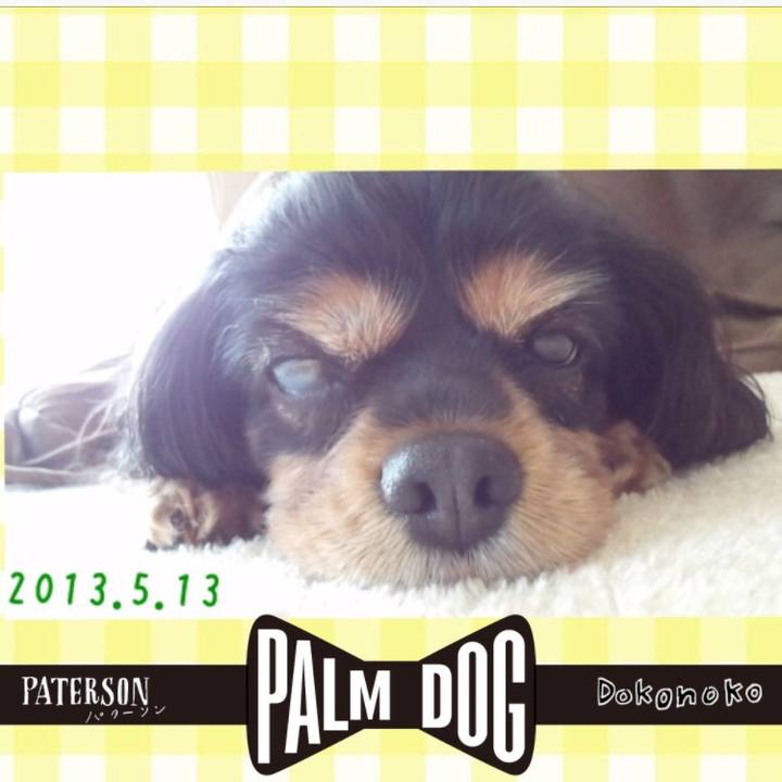 9ed447d2 fdb4 42b2 bde3 31aa8f82cb4b