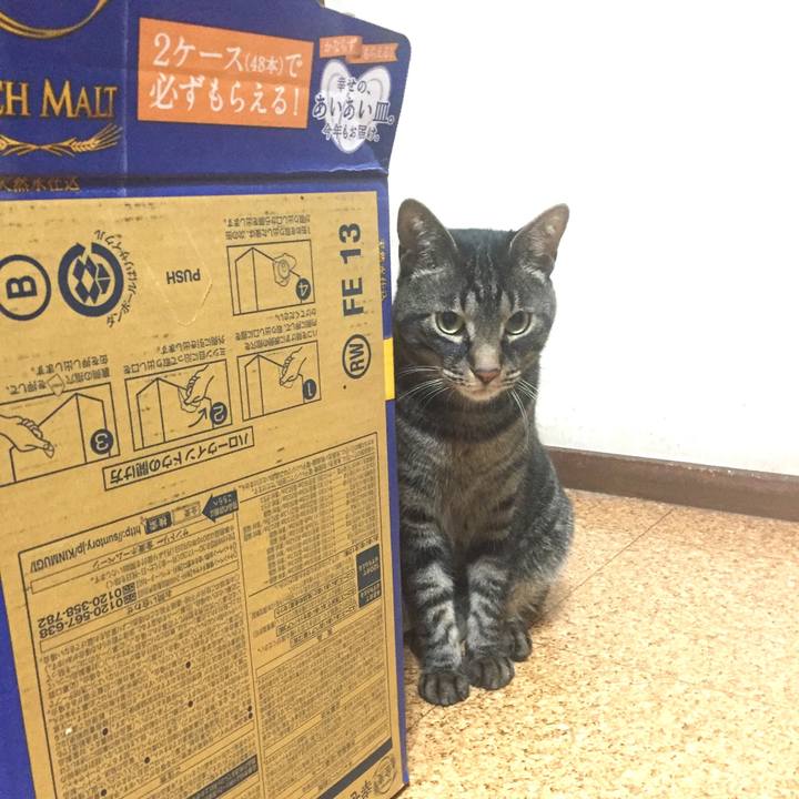 9ed4a180 94b6 4b97 8d4e 26cddbabc490