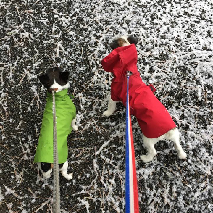 9ed4aa31 89e1 487b a1bd 3b120d1daa95