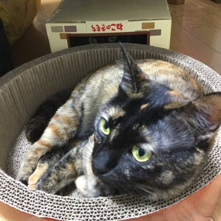 9ed51d8e 8a10 46af b527 5f1b323cf731